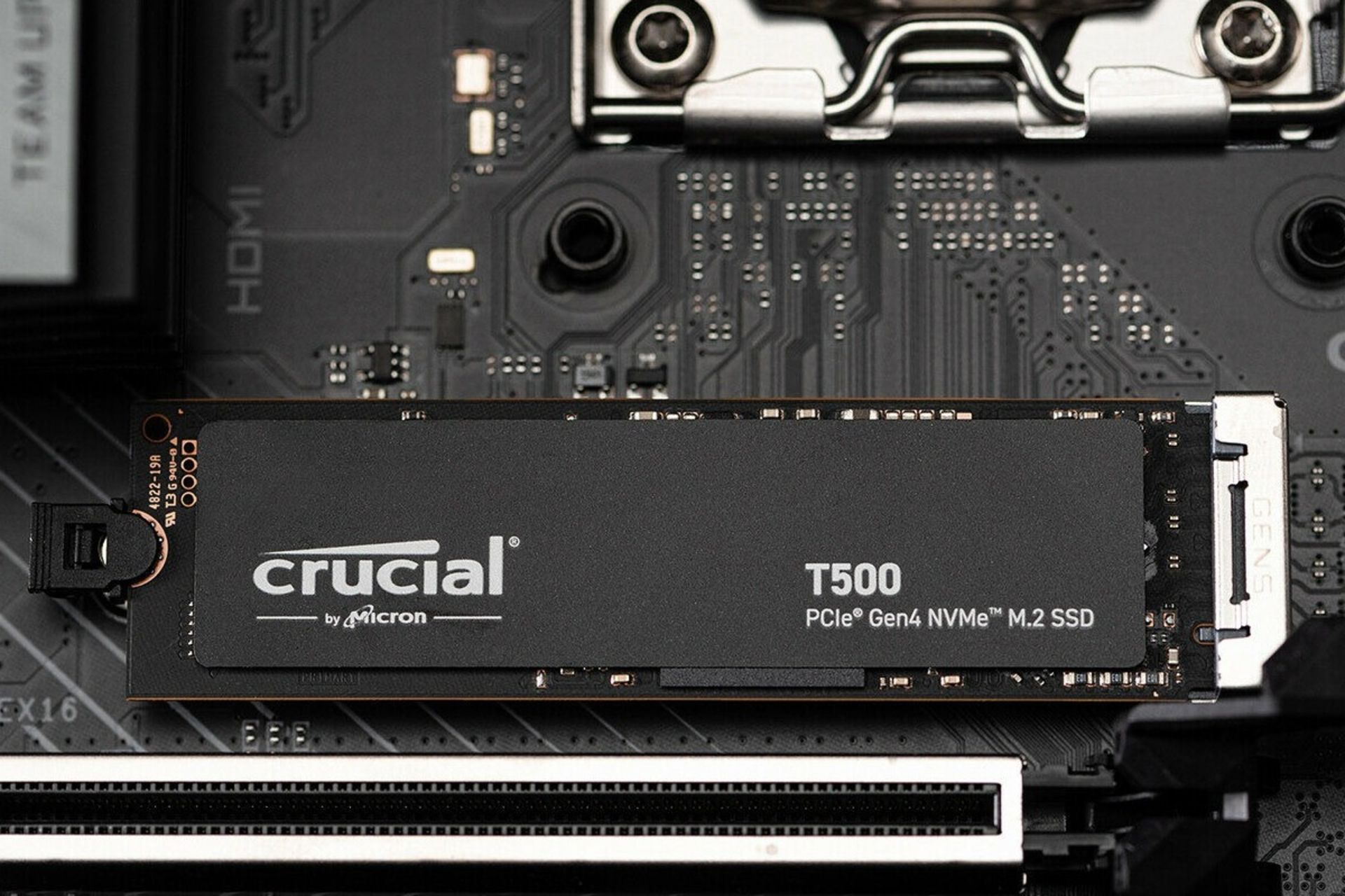 اس‌اس‌دی کروشال